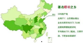 最新国产区,探索国产电影的新时代篇章